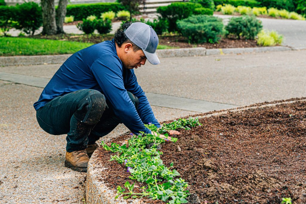 Commercial Landscaping